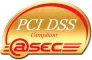 PCI DSS